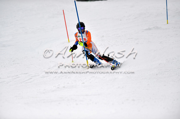 alpine_2015-01-22_12-39-51_DSC_2104_©AnnNashPhotographyLLC_2015