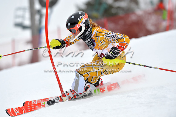 alpine_2015-02-14_13-43-32_DSC_8664_©AnnNashPhotographyLLC_2015