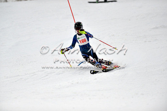 alpine_2015-01-22_12-36-52_DSC_2036_©AnnNashPhotographyLLC_2015