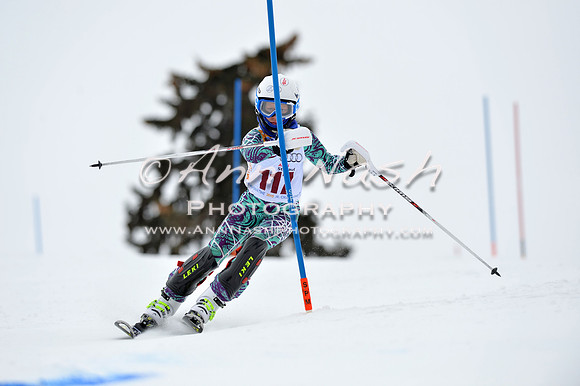 alpine_2015-02-14_13-12-29_DSC_8071_©AnnNashPhotographyLLC_2015
