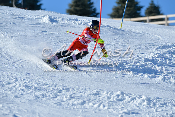alpine_2015-01-22_14-36-35_DSC_2950_©AnnNashPhotographyLLC_2015