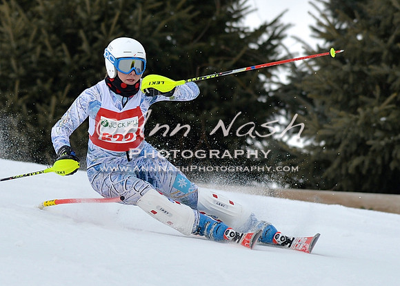 alpine_2015-01-22_12-08-34_DSC_1205_©AnnNashPhotographyLLC_2015