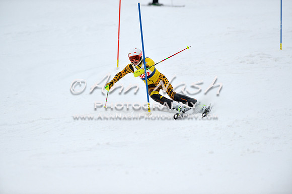 alpine_2015-01-22_11-54-52_DSC_0800_©AnnNashPhotographyLLC_2015