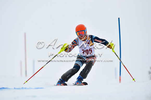 alpine_2015-02-14_13-31-48_DSC_8379_©AnnNashPhotographyLLC_2015