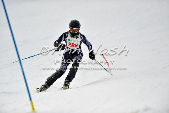 alpine_2015-01-22_12-42-54_DSC_2180_©AnnNashPhotographyLLC_2015