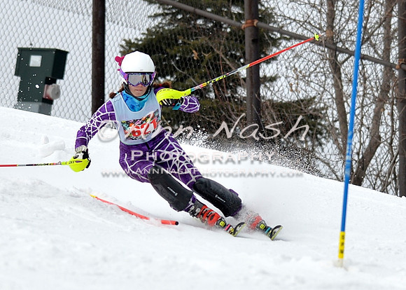 alpine_2015-01-22_11-42-57_DSC_0348_©AnnNashPhotographyLLC_2015