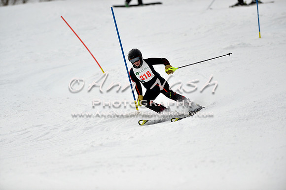 alpine_2015-01-22_12-44-25_DSC_2211_©AnnNashPhotographyLLC_2015