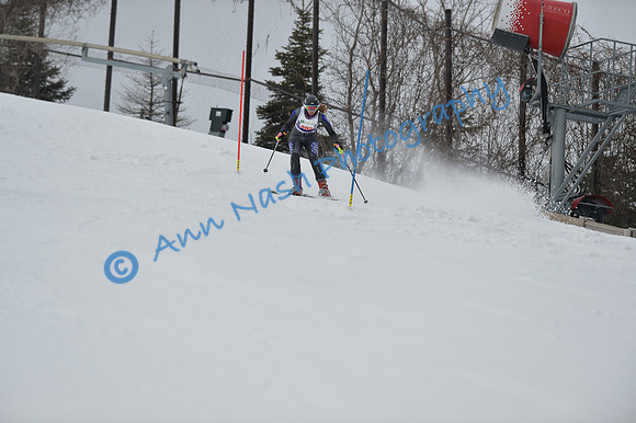 alpine_2015-01-22_11-47-38_DSC_0529_©AnnNashPhotographyLLC_2015