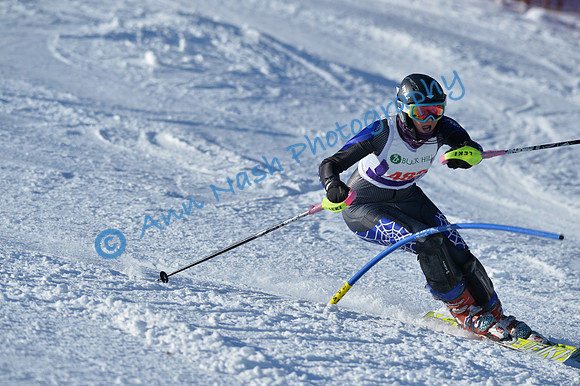 alpine_2015-01-22_14-56-22_DSC_3714_©AnnNashPhotographyLLC_2015