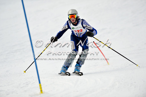 alpine_2015-01-22_11-43-40_DSC_0389_©AnnNashPhotographyLLC_2015
