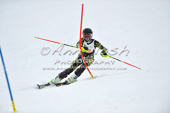 alpine_2015-01-22_11-51-58_DSC_0736_©AnnNashPhotographyLLC_2015