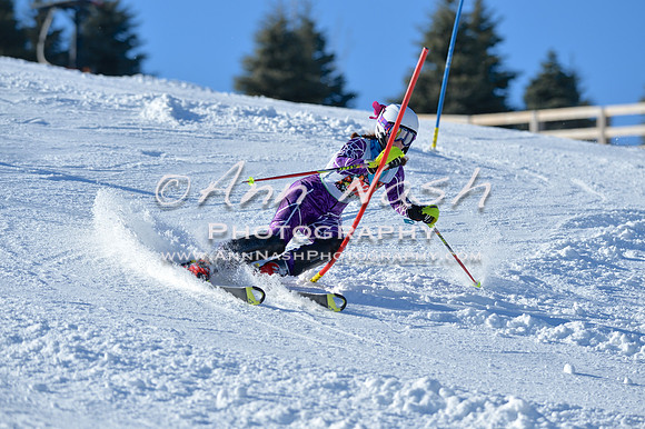 alpine_2015-01-22_14-40-16_DSC_2969_©AnnNashPhotographyLLC_2015