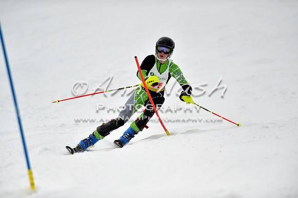 alpine_2015-01-22_12-28-54_DSC_1849_©AnnNashPhotographyLLC_2015