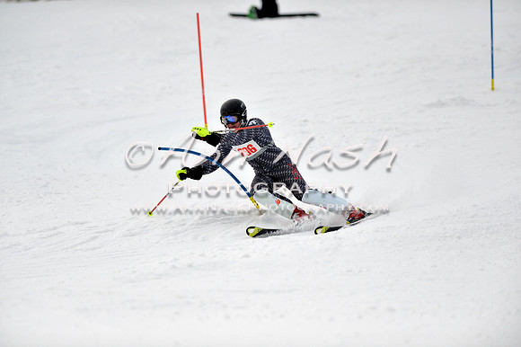 alpine_2015-01-22_12-43-20_DSC_2188_©AnnNashPhotographyLLC_2015