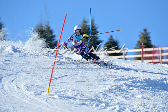 alpine_2015-01-22_14-40-15_DSC_2966_©AnnNashPhotographyLLC_2015
