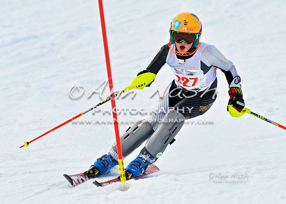 alpine_2015-01-22_12-58-11_DSC_2599_©AnnNashPhotographyLLC_2015