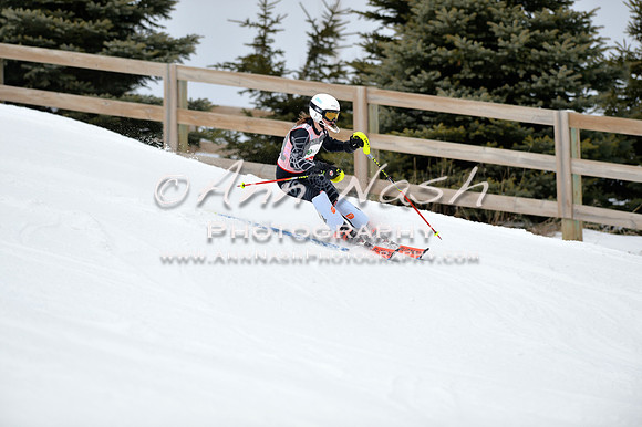 alpine_2015-01-22_11-39-36_DSC_0198_©AnnNashPhotographyLLC_2015