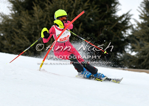 alpine_2015-01-22_11-52-46_DSC_0738_©AnnNashPhotographyLLC_2015