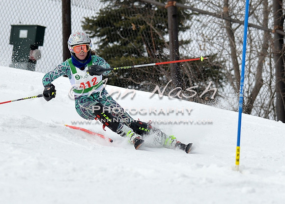 alpine_2015-01-22_11-43-23_DSC_0369_©AnnNashPhotographyLLC_2015