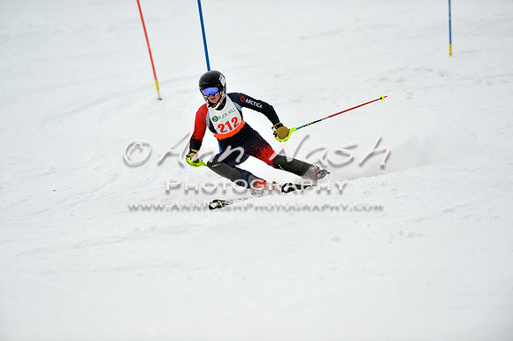 alpine_2015-01-22_11-47-47_DSC_0554_©AnnNashPhotographyLLC_2015