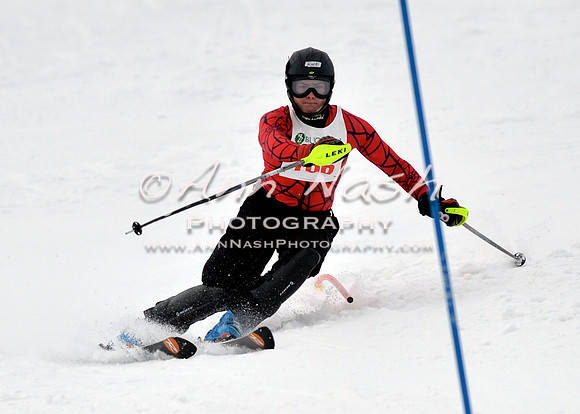alpine_2015-01-22_12-37-43_DSC_2064_©AnnNashPhotographyLLC_2015