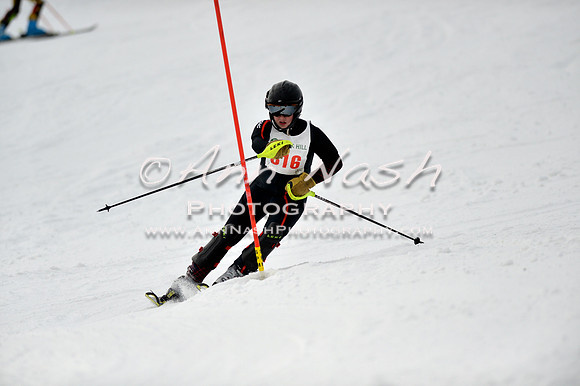 alpine_2015-01-22_12-44-26_DSC_2212_©AnnNashPhotographyLLC_2015