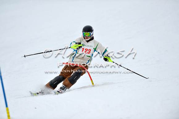 alpine_2015-01-22_11-55-51_DSC_0840_©AnnNashPhotographyLLC_2015