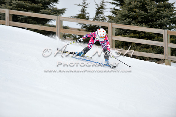 alpine_2015-01-22_11-36-13_DSC_0106_©AnnNashPhotographyLLC_2015