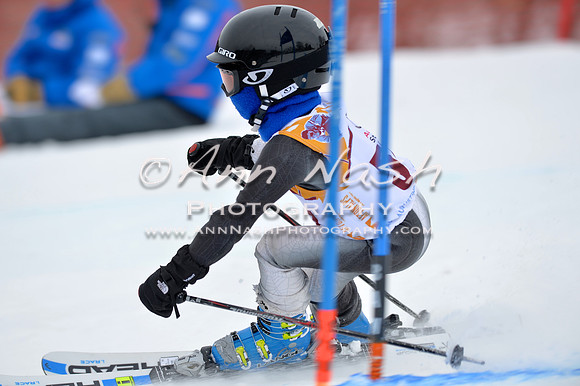 alpine_2015-02-14_15-26-52_DSC_9961_©AnnNashPhotographyLLC_2015