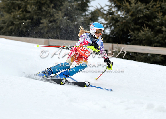 alpine_2015-01-22_12-03-42_DSC_1080_©AnnNashPhotographyLLC_2015