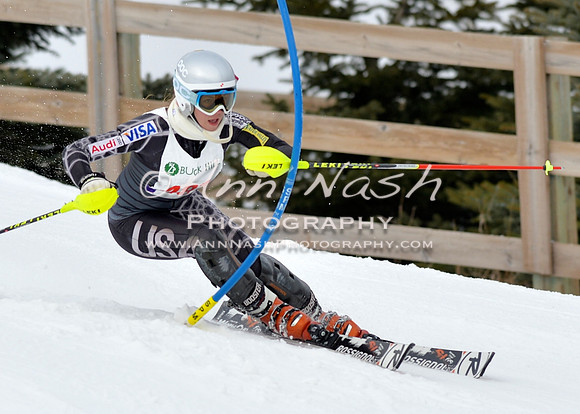 alpine_2015-01-22_11-34-42_DSC_0029_©AnnNashPhotographyLLC_2015