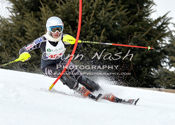 alpine_2015-01-22_11-34-39_DSC_0020_©AnnNashPhotographyLLC_2015
