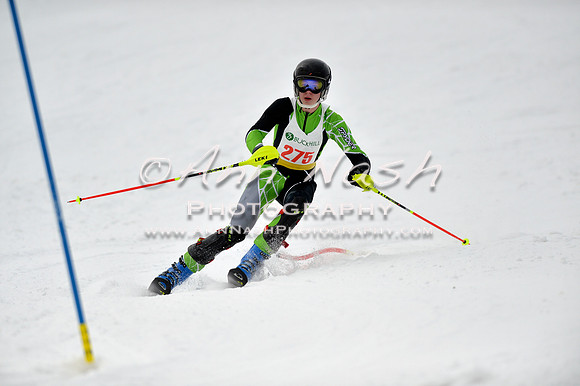 alpine_2015-01-22_12-28-54_DSC_1850_©AnnNashPhotographyLLC_2015