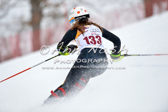 alpine_2015-02-14_13-05-33_DSC_7916_©AnnNashPhotographyLLC_2015
