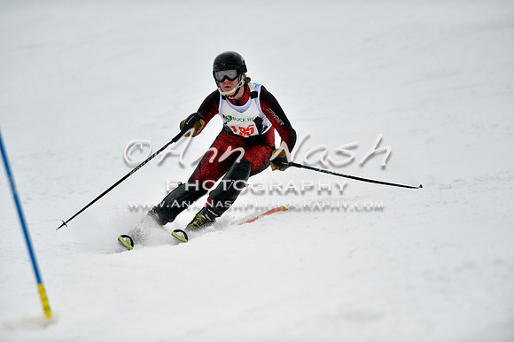 alpine_2015-01-22_12-25-25_DSC_1743_©AnnNashPhotographyLLC_2015