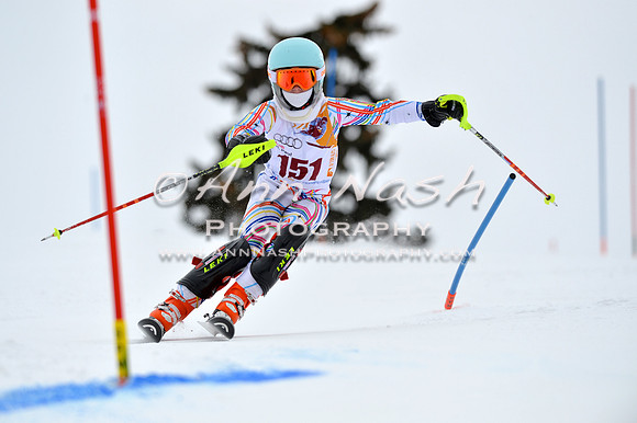alpine_2015-02-14_13-09-13_DSC_8013_©AnnNashPhotographyLLC_2015