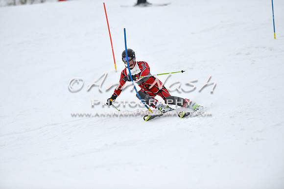 alpine_2015-01-22_11-50-21_DSC_0653_©AnnNashPhotographyLLC_2015