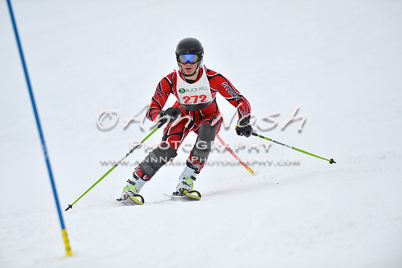alpine_2015-01-22_11-50-22_DSC_0658_©AnnNashPhotographyLLC_2015