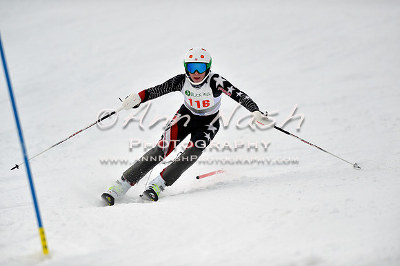 alpine_2015-01-22_12-32-08_DSC_1953_©AnnNashPhotographyLLC_2015