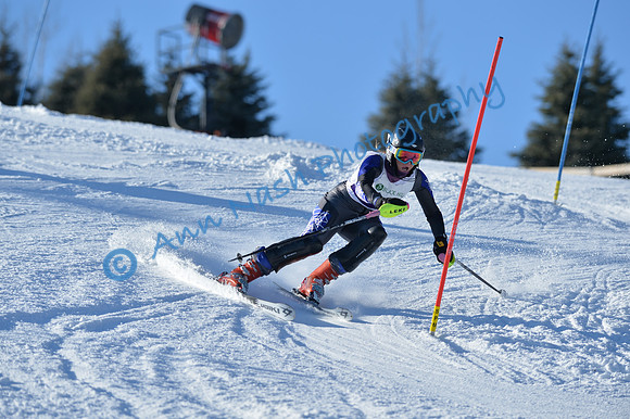 alpine_2015-01-22_14-56-20_DSC_3709_©AnnNashPhotographyLLC_2015