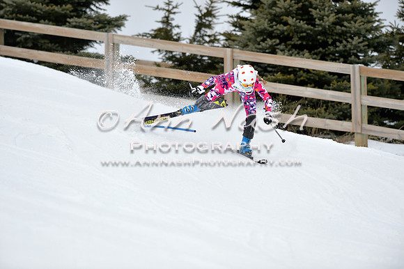 alpine_2015-01-22_11-36-13_DSC_0107_©AnnNashPhotographyLLC_2015