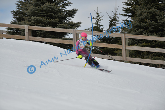 alpine_2015-01-22_12-48-08_DSC_2332_©AnnNashPhotographyLLC_2015