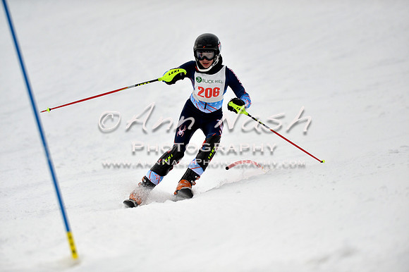 alpine_2015-01-22_12-39-33_DSC_2093_©AnnNashPhotographyLLC_2015