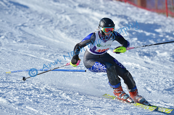 alpine_2015-01-22_14-56-22_DSC_3716_©AnnNashPhotographyLLC_2015