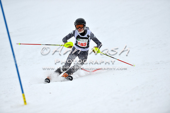 alpine_2015-01-22_11-59-57_DSC_0977_©AnnNashPhotographyLLC_2015