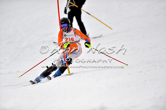 alpine_2015-01-22_12-39-52_DSC_2108_©AnnNashPhotographyLLC_2015