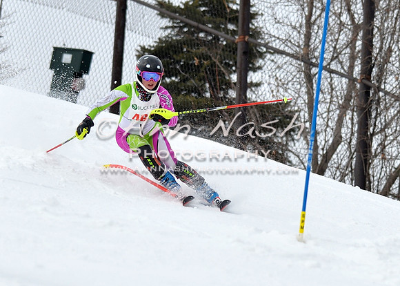 alpine_2015-01-22_11-33-45_DSC_9966_©AnnNashPhotographyLLC_2015