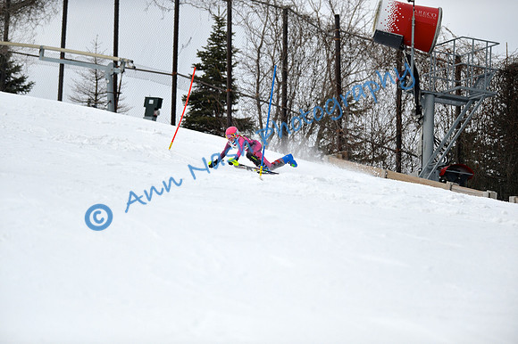 alpine_2015-01-22_12-47-28_DSC_2314_©AnnNashPhotographyLLC_2015