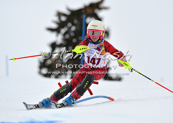 alpine_2015-02-14_13-11-14_DSC_8039_©AnnNashPhotographyLLC_2015