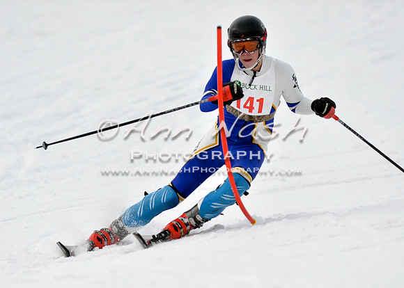 alpine_2015-01-22_11-33-28_DSC_9964_©AnnNashPhotographyLLC_2015